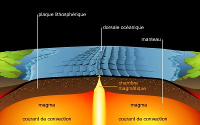 Expansion des fonds océaniques