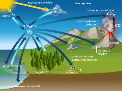 Cycle de l'oxygène