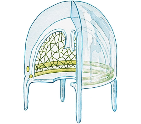 Système nerveux d'une méduse