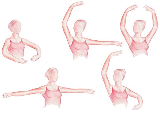 Positions de la danse académique (bras) Positions de la danse académique (bras)