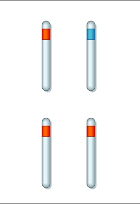 Gènes hétérozygotes et homozygotes