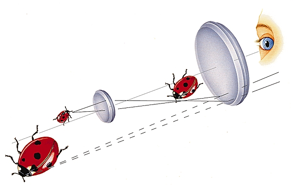 Microscope optique