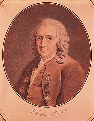 Carl von Linné Carl von Linné