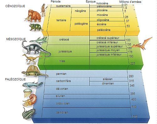 Échelle des temps géologiques