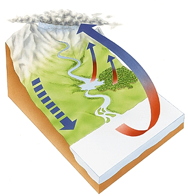 Bilan de l'eau Bilan de l'eau