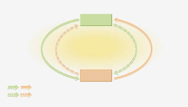 Flux économiques