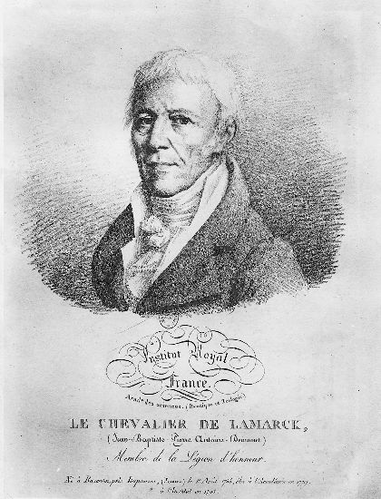 Chevalier de Lamarck Chevalier de Lamarck