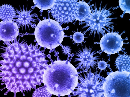 Virus Virus
