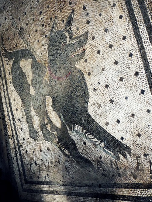Mosaïque représentant un chien en laisse Mosaïque représentant un chien en laisse