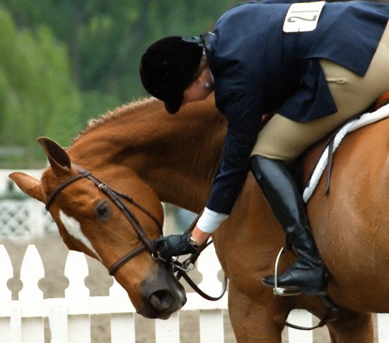 Cheval et cavalier lors d'un concours équestre Cheval et cavalier lors d'un concours équestre