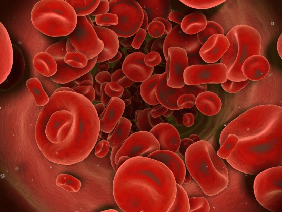 globules rouges du sang