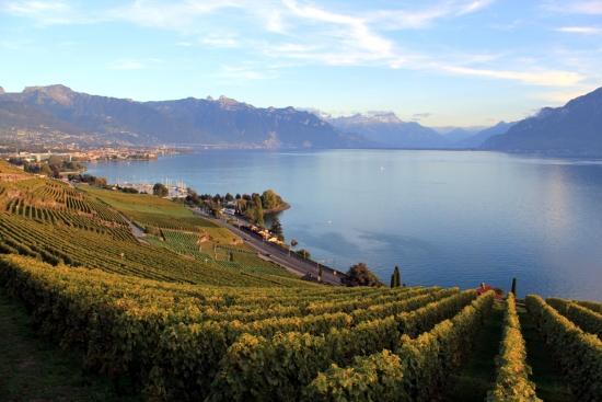 Lavaux