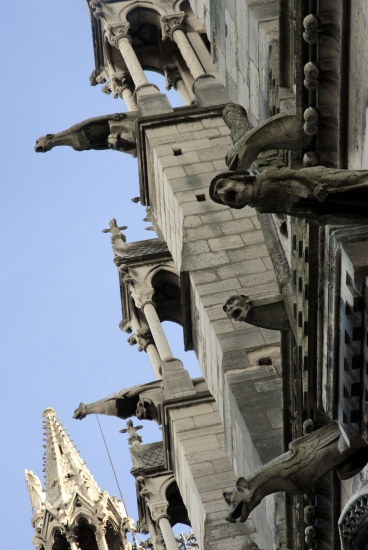 Gargouilles de Notre-Dame, Paris