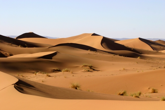 Dunes dans le désert.