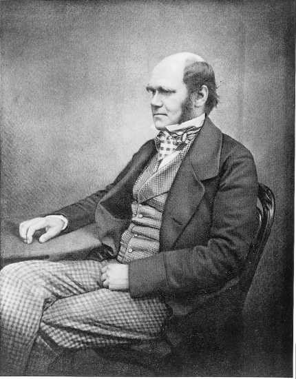 Charles Darwin en 1860. Charles Darwin en 1860.