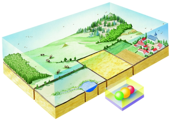 Des écosystèmes dans un paysage agricole.