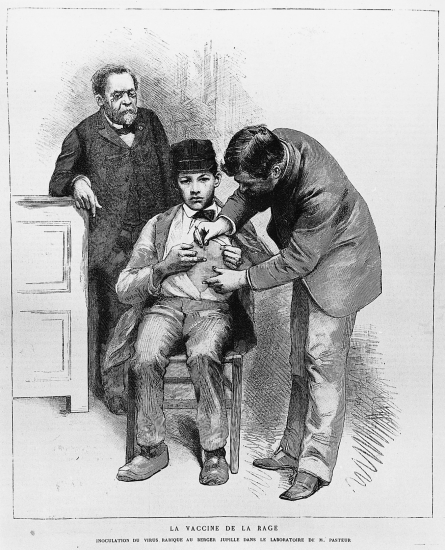 Pasteur : la vaccination contre la rage