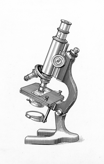 Microscope optique