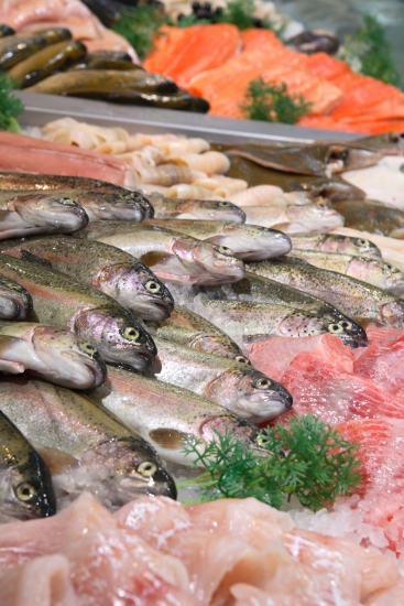 Étal de poissonnier Étal de poissonnier