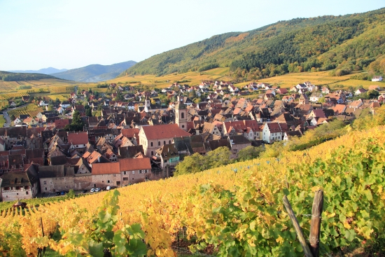 Alsace, le bourg de Riquewihr Alsace, le bourg de Riquewihr
