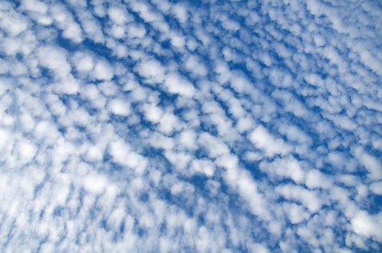 Altocumulus