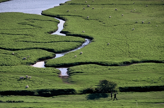 Angleterre, Sussex Angleterre, Sussex
