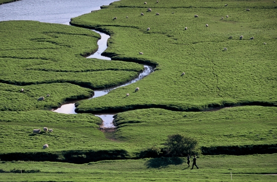 Angleterre, Sussex