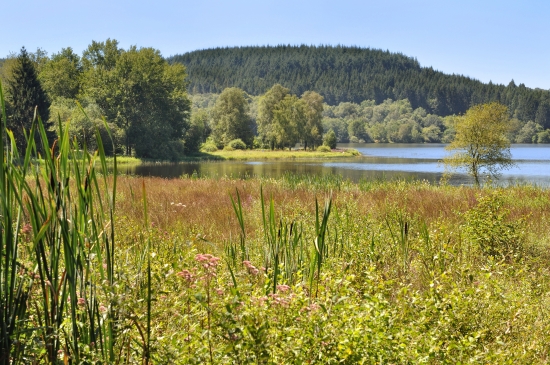 Bourgogne, le parc du Morvan Bourgogne, le parc du Morvan