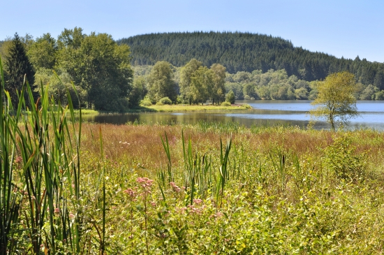 Bourgogne, le parc du Morvan