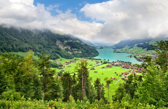 Oberland bernois Oberland bernois