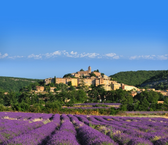 Provence Provence