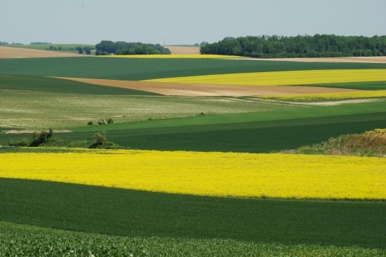 Picardie Picardie