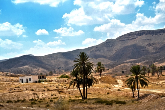 Paysage du Sud tunisien