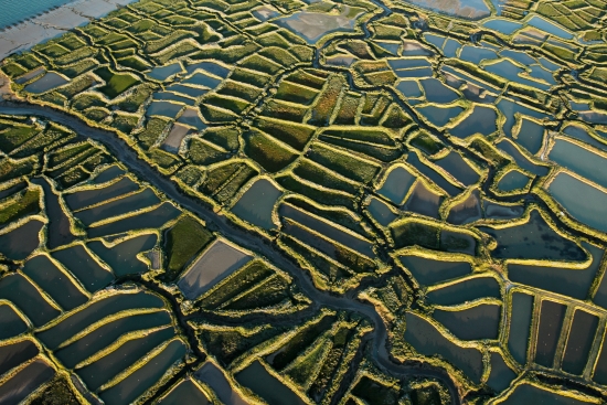 Poitou-Charentes, la Tremblade