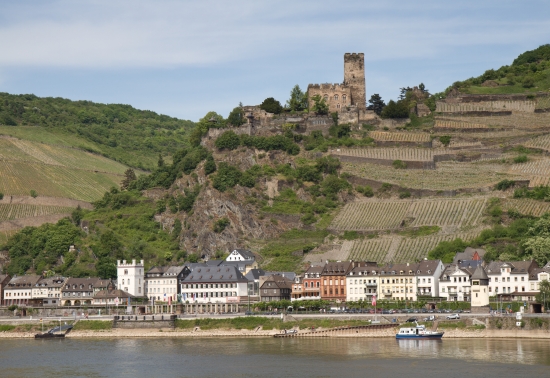 Rhin