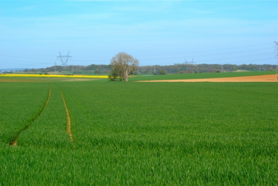 Île-de-France, la Brie Île-de-France, la Brie