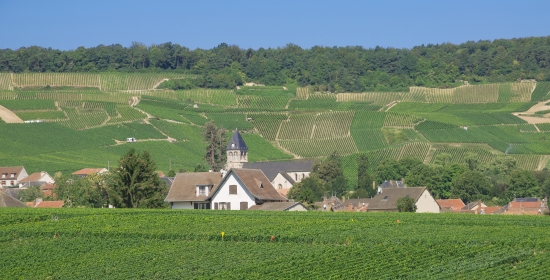 Champagne-Ardenne, Oger Champagne-Ardenne, Oger