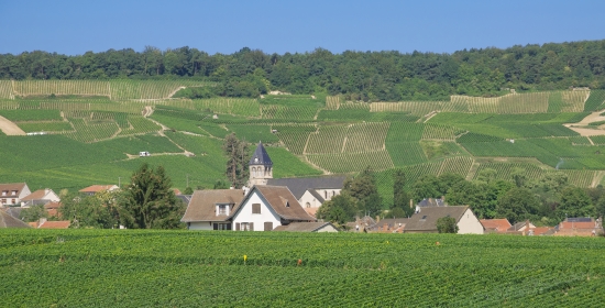 Champagne-Ardenne, Oger