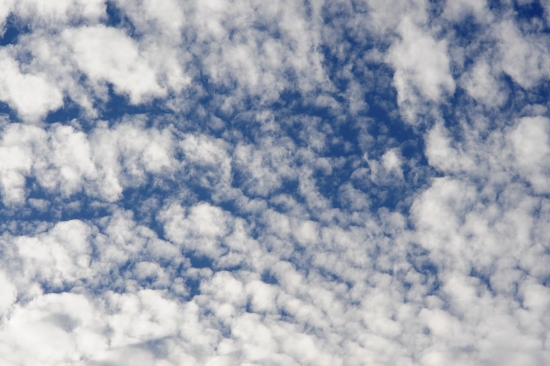 Cirrocumulus