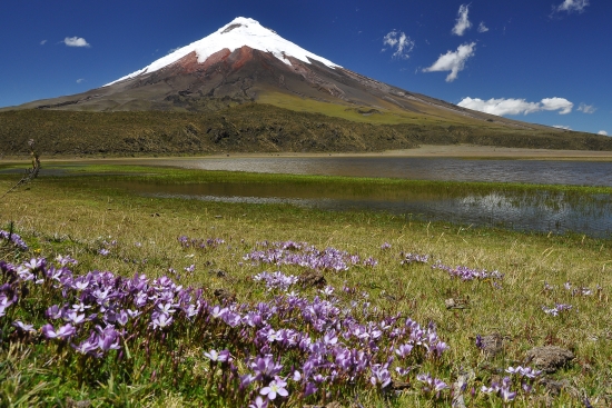 Cotopaxi