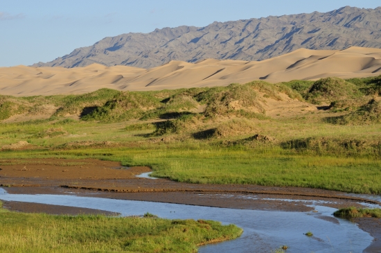 Désert de Gobi