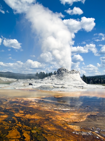 Wyoming, le parc national de Yellowstone