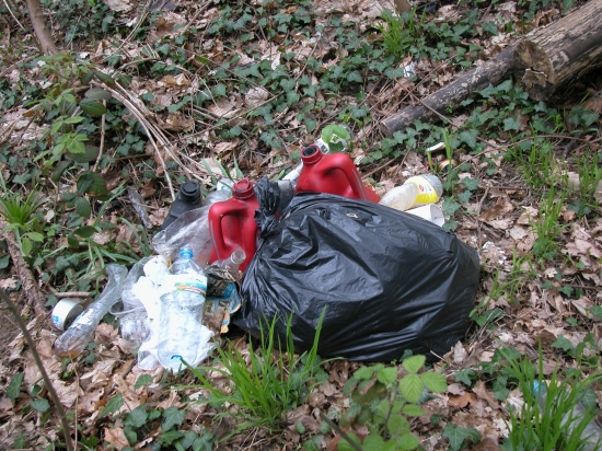 Déchets dans la nature