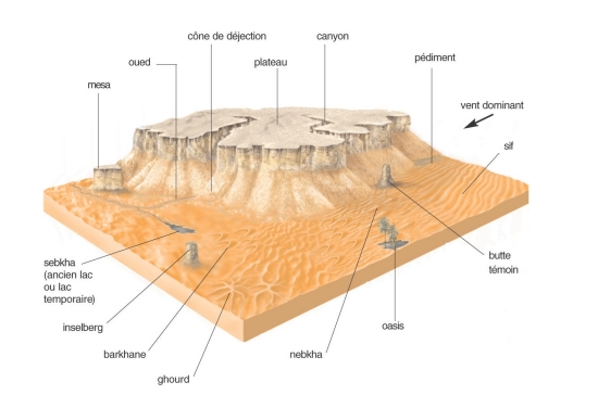 Relief du désert