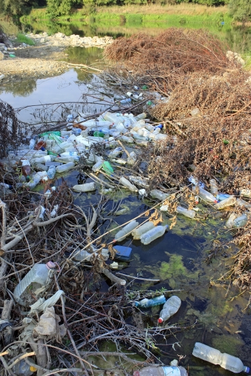 Pollution d'un cours d'eau Pollution d'un cours d'eau