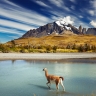 Parc national du Paine