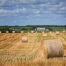 Prairies canadiennes