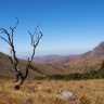 Transvaal Transvaal