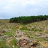 Déforestation en Malaisie