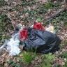 Déchets dans la nature Déchets dans la nature